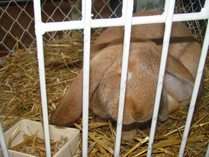 DSC01770