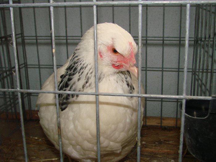 DSC01775