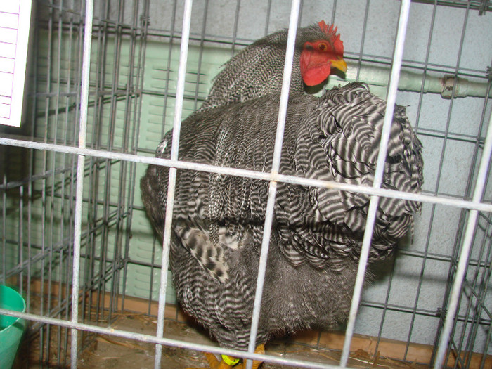 DSC01780