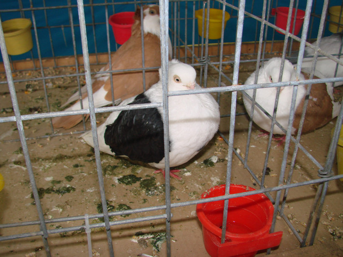 DSC01788