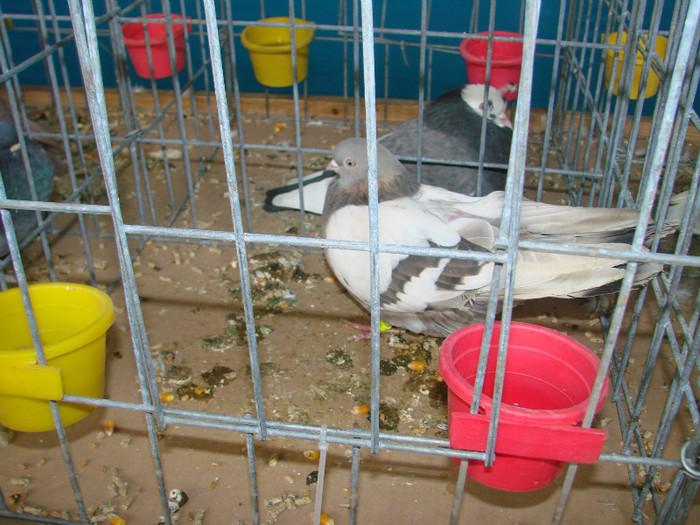 DSC01793