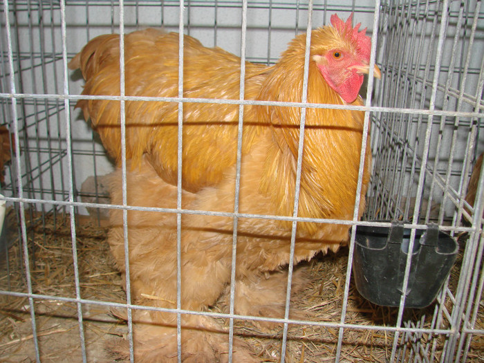 DSC01794