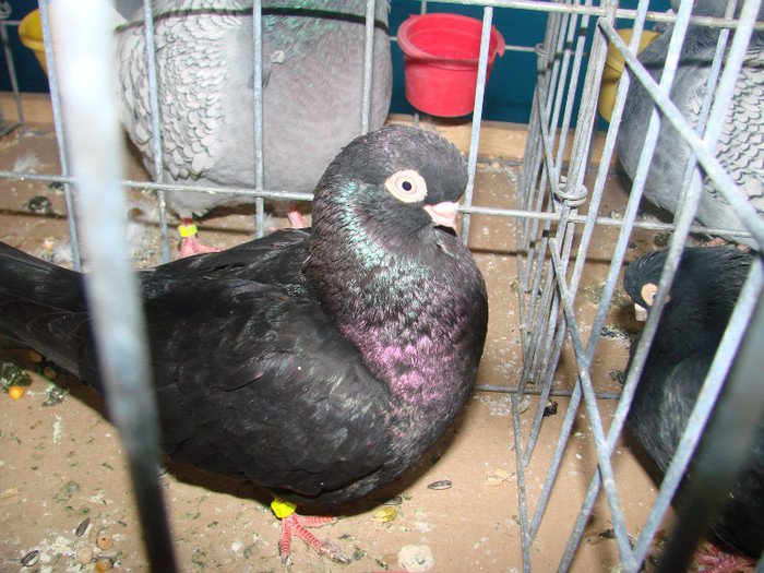 DSC01799