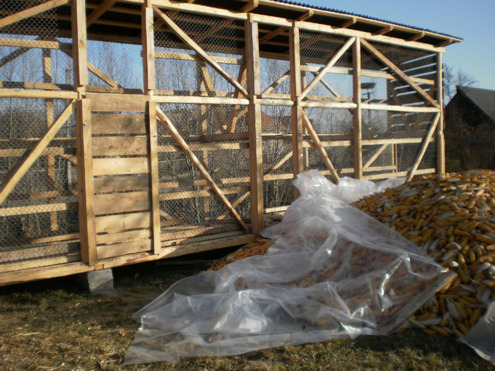 PB100148 - Cosarca pentru porumb