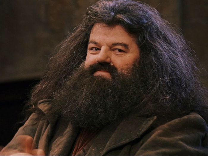 161 - Harry Potter si Piatra Filozofala 2001