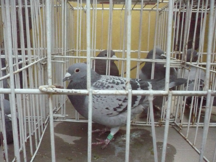 2106761-10-M - C.V.V