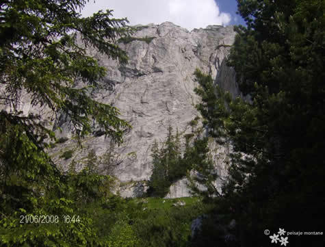 medii-piatra-craiului-10