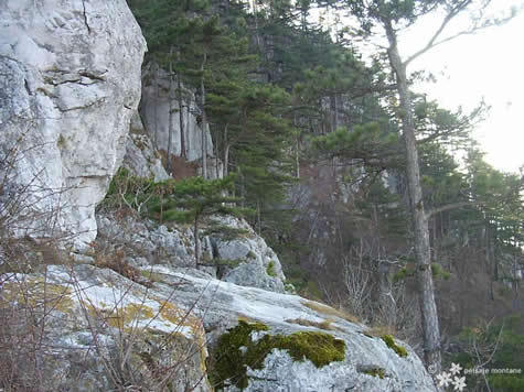 medii-baile-herculane-6