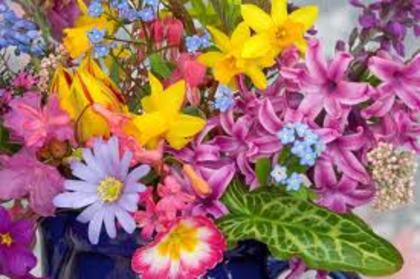 images (28) - poze flori