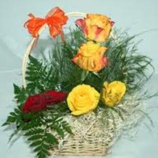 images (55) - poze flori