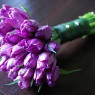 images (44) - poze flori