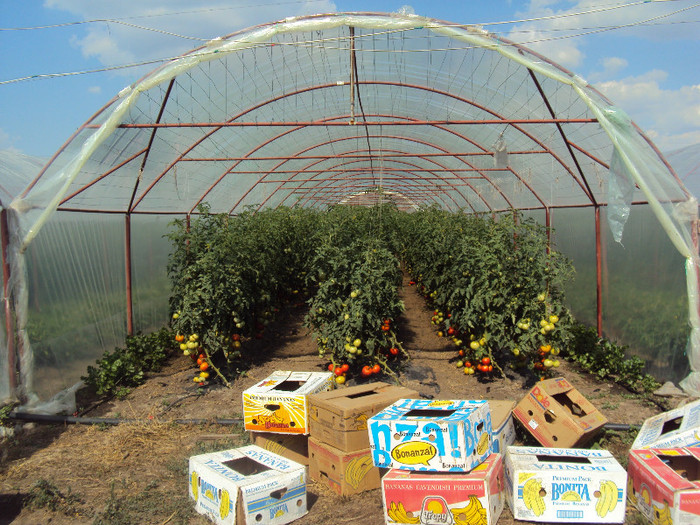 folie UNIPLAST FOCSANI