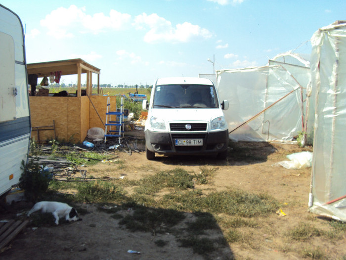 DSC02792 - solarii ulmu 2011