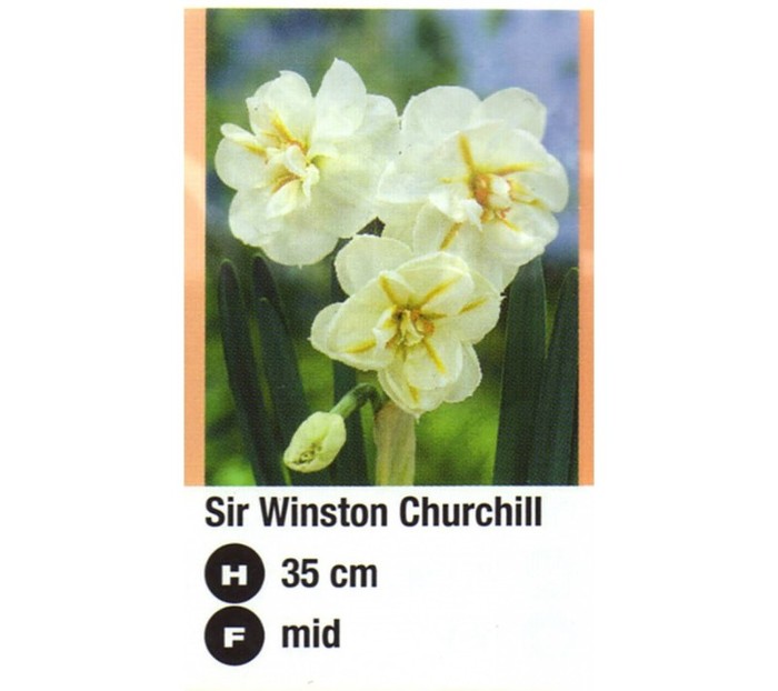 Sir Winston Churchill