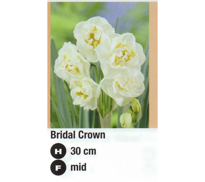 Bridal Crown - aa__achizitii 2011