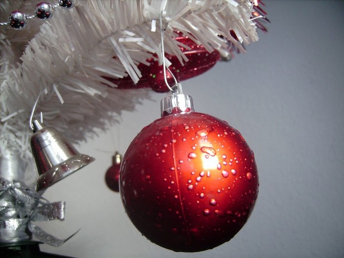 sarbatori-de-iarna-poza-1-59267x1024 - imagini de Craciun