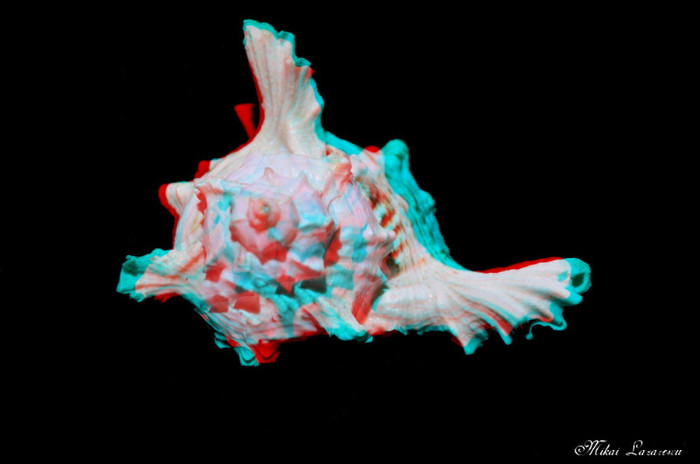 3D - Diverse