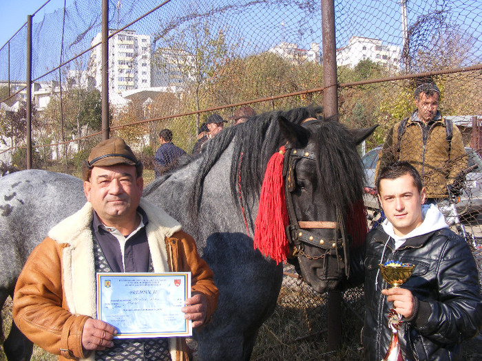DSCF5054 - Expozitie De Cai Vaslui