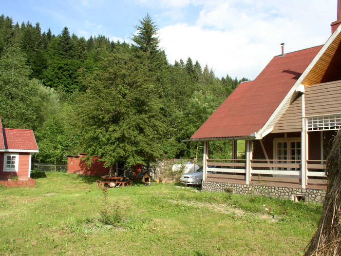 P1010080; Vara in iulie
