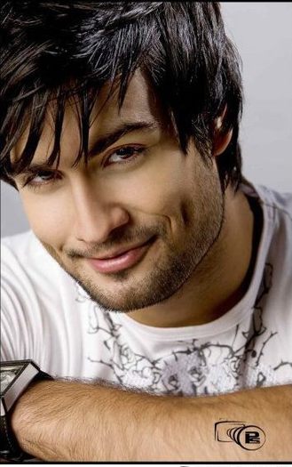 302478_219030141487185_116768125046721_612417_578436661_n - Vivian Dsena as Abhay Raichand