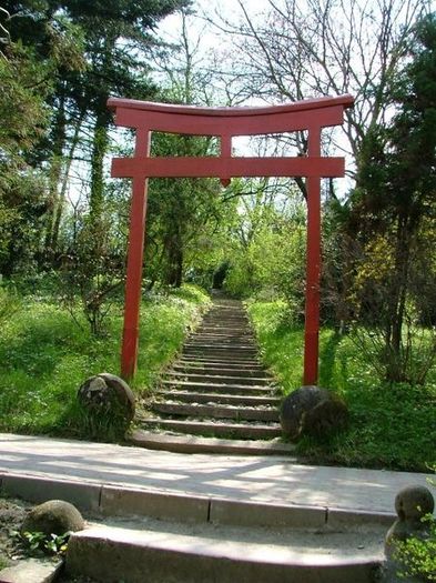 450px-Cluj-Napoca_botanical_garden_06_-_the_japanese_garden - Clujul rural