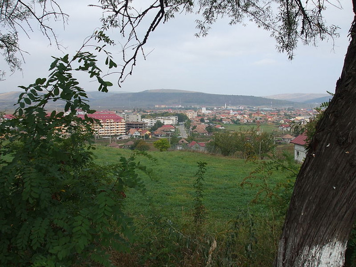 800px-Apahida,Cluj-DSCF2084