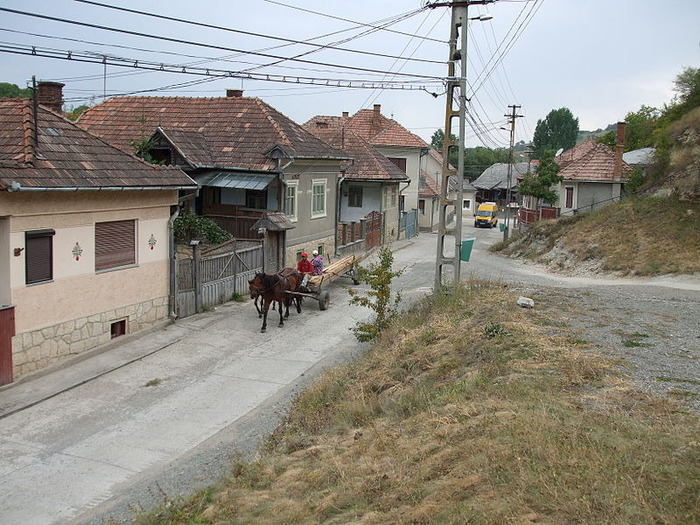 800px-Izvorul-Crisului-DSCF2036