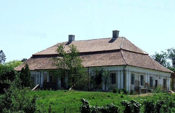 800px-Wass_Castle_in_Taga,_Cluj_County