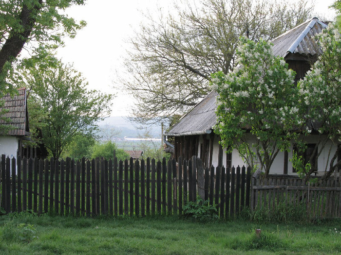 Casa_taraneasca,_Jucu_de_Sus - Clujul rural