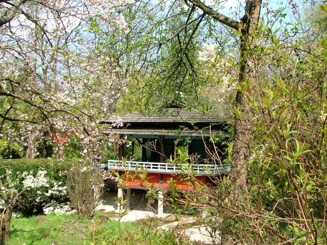 Cluj-Napoca_Botanical_Garden_-_Japanese_Garden