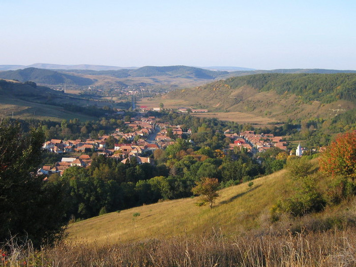 Savadisla,_Cluj_County
