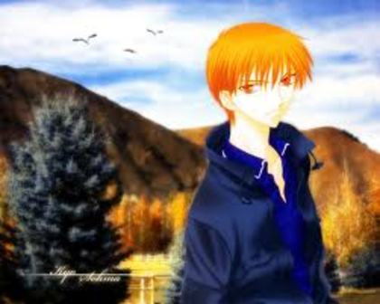 ; - Fruits Basket