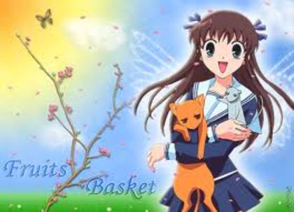 677667 - Fruits Basket