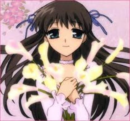 5456566 - Fruits Basket