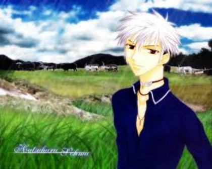 l;\' - Fruits Basket