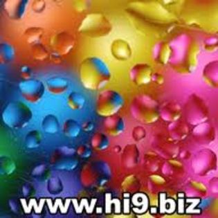 images (85) - poze colorate