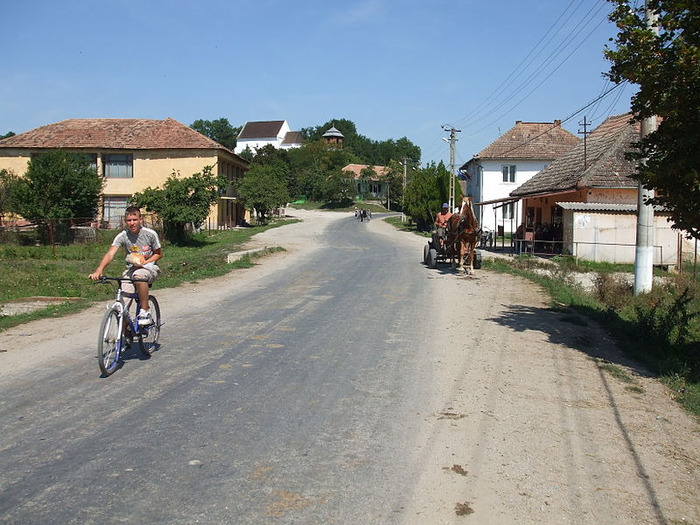 800px-Suatu,Cluj-DSCF1932 - Clujul rural