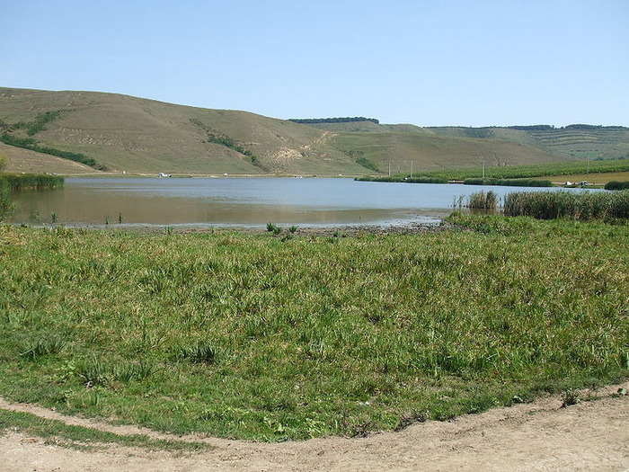 800px-Suatu,Cluj-DSCF1945 - Clujul rural