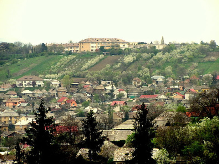 800px-2010-IMG_4225 - Orasele din Cluj