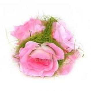 125 - poze roz