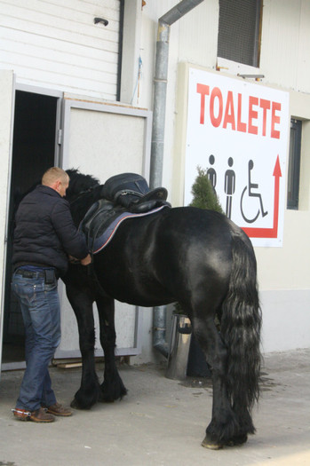 IMG_0062 - Expozitie nov 2011