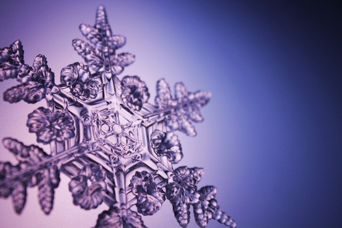 4349769105_736ace6014_b