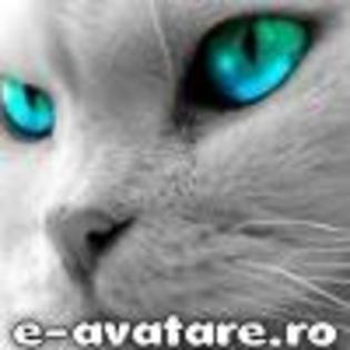 avatare_gratuite-mata-qmkzlzv