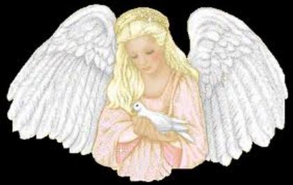 images (76)