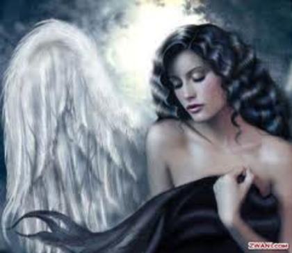 images (77)
