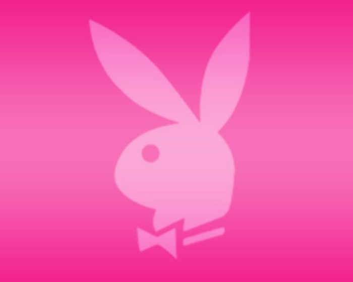Pink-wallpaper-pink-color-10579400-1280-1024 - CADOU 4000 DE VIZITATORI
