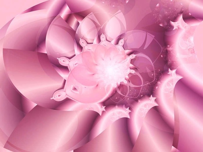 Pink-wallpaper-pink-color-10579490-800-600