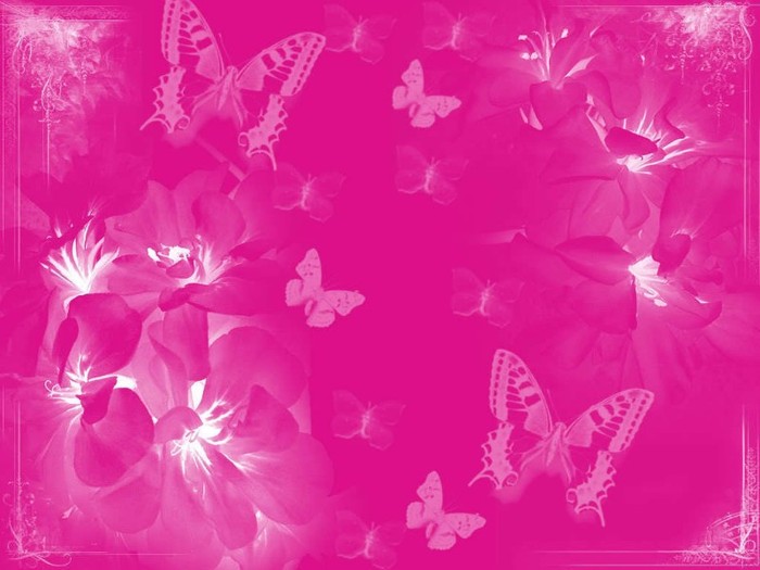 Pink-wallpaper-pink-color-10579556-1024-768
