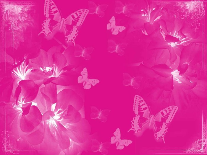 Pink-wallpaper-pink-color-10579556-1024-768 - CADOU 4000 DE VIZITATORI