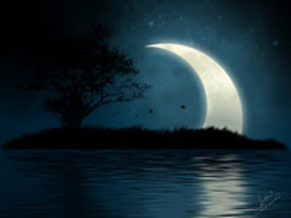 Shining_Moon__Mystic_Island_by_JJCheddar77 - poze poze